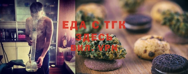 индика Арсеньев