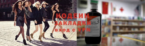 индика Арсеньев
