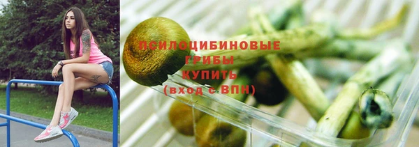 индика Арсеньев