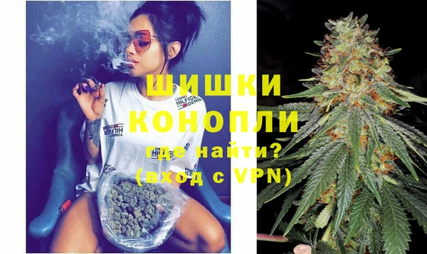 индика Арсеньев