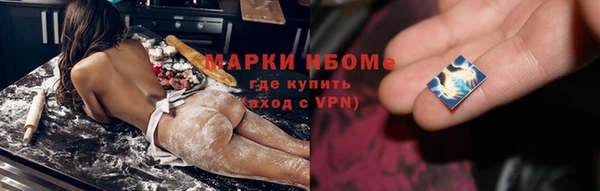 индика Арсеньев
