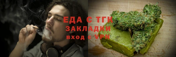 индика Арсеньев