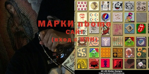 индика Арсеньев