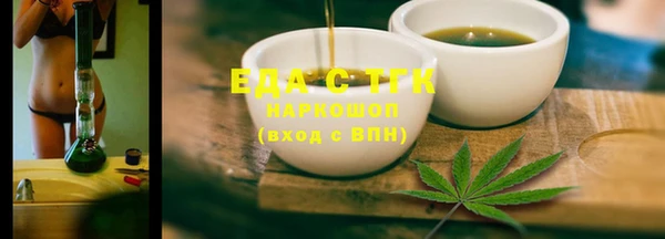 индика Арсеньев