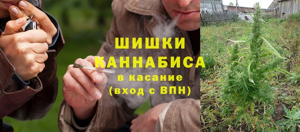 индика Арсеньев