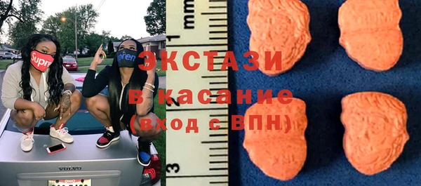 индика Арсеньев