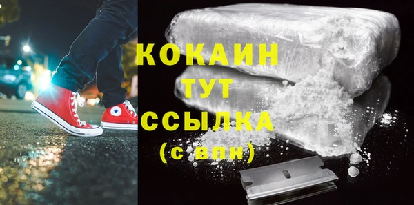 индика Арсеньев