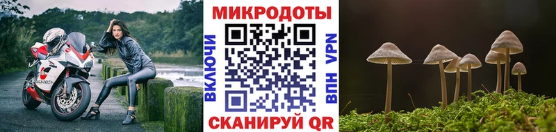 как найти   Жиздра  Галлюциногенные грибы прущие грибы 